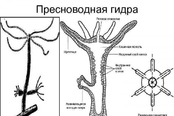 Наркоплощадки кракен